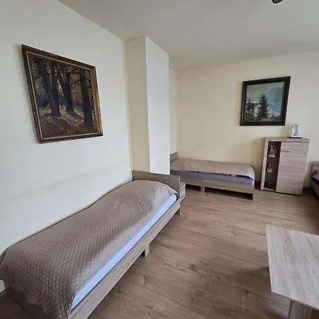 Central Apartment Gera