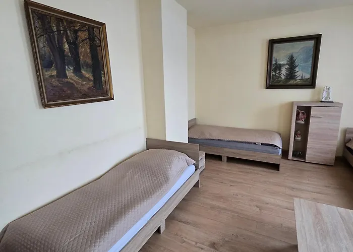 Central Apartment Gera